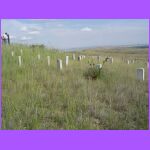 Graves of Soldiers.jpg